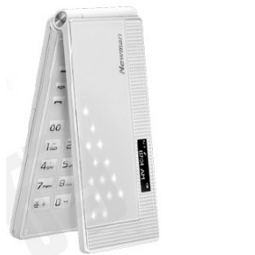 GSM / GPRS 900 / 1800 MP3 Camera Flip Cell Phone